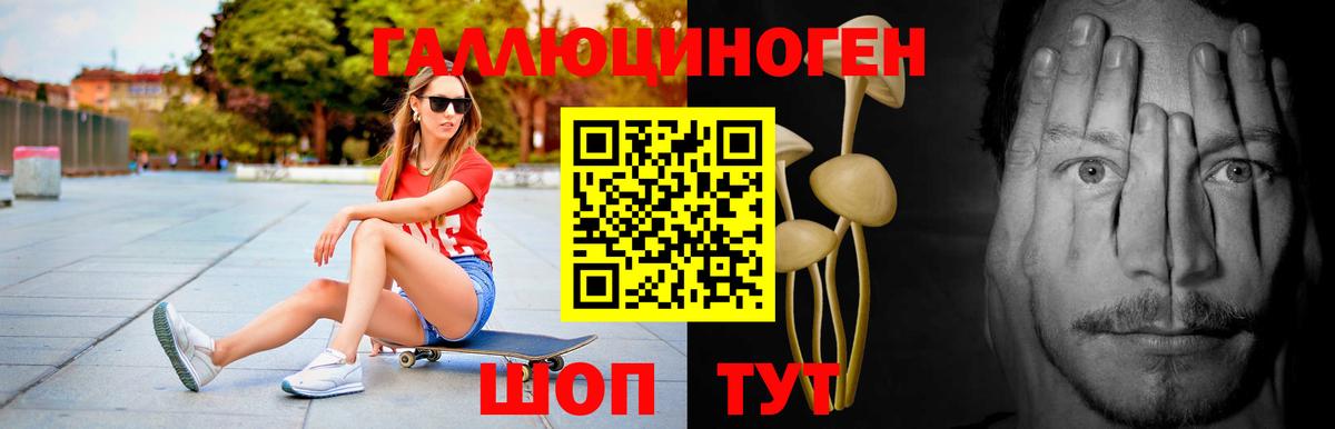 Псилоцибиновые грибы GOLDEN TEACHER Великие Луки